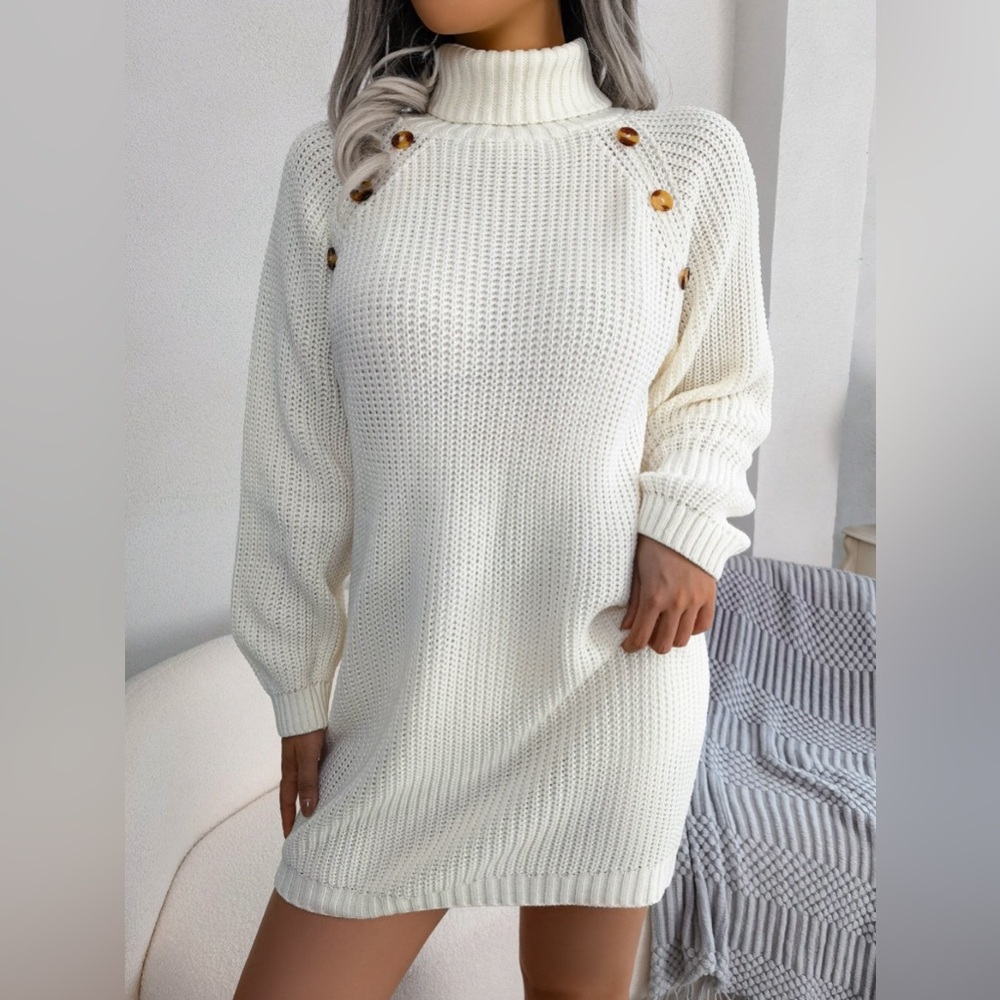 Winter Warmth Turtleneck Sweater Dress Mini